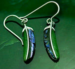 Jade Rituals Mesmerizing Abalone Feather Earrings