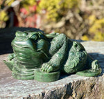 Jade Rituals Feng Shui Money Frog